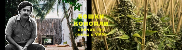 соль ск Алексин