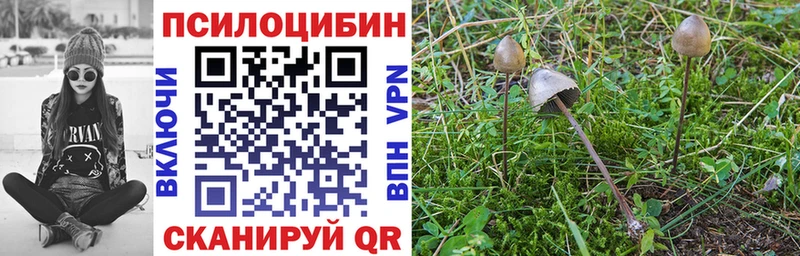 Псилоцибиновые грибы Cubensis  наркота  Ступино 