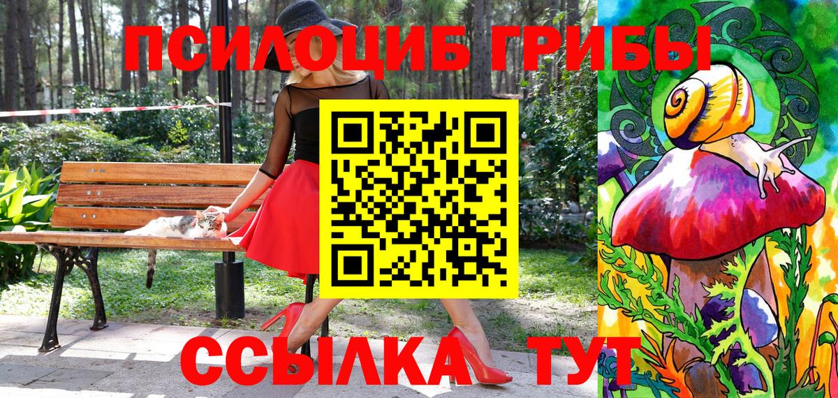 Галлюциногенные грибы GOLDEN TEACHER  Вход с VPN  Ступино 